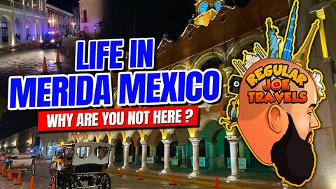 Life in ULTRA SAFE Merida Mexico - Yucatán Food, Parks, Costco - Why Are You Not Here?