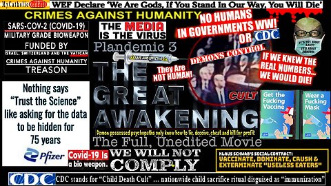 PLANDEMIC 3, THE GREAT AWAKENING. WHAT DO WE DO NEXT? [re-post] see links in description