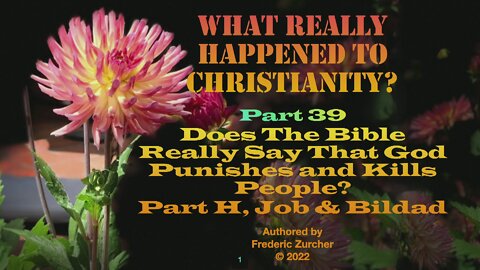 Fred Zurcher on What Really Happened to Christianity pt39