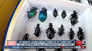 Students learn about insects at Farm Day in the City