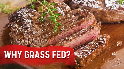 Why Grass Fed vs. Grain Fed - Dr. Berg