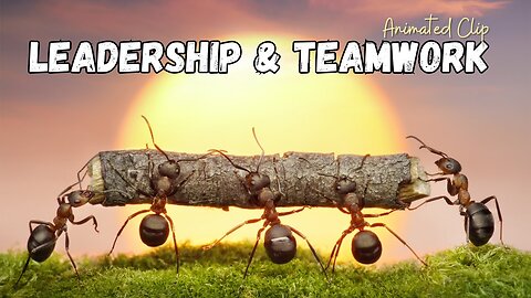 Teamwork and Leadership funny cartoon with message Animated short clip