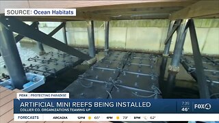 Mini reef installations in Collier County