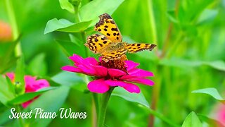 Beautiful Piano Music - Soothing Piano Music For Stress Relief, Calming Peaceful Relaxation Music