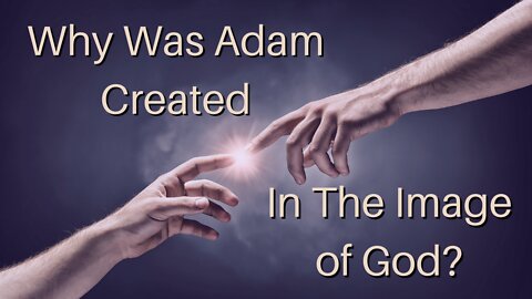 Why Was Adam Created In The Image of God?