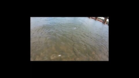 Tossing a Cast Net in the Tennessee River