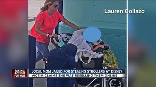 Hernando mom accused of stealing luxury stroller