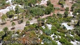 Hobe Sound, Florida Drone Footage