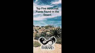 Top Five Medicinal Plants Found in the Desert