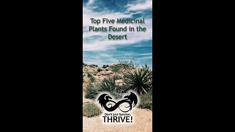 Top Five Medicinal Plants Found in the Desert