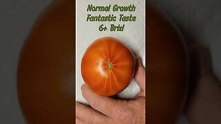 New Tomato Capability - Heat & Cold Set