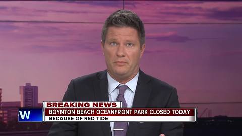 Boynton Beach Oceanfront Park closed for red tide