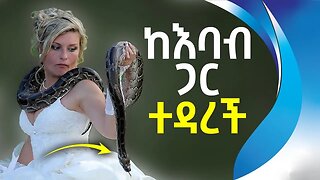 ከእባብ ጋር ተዳረች | Woman Sleeps With Snake Every Night | Cobra | Snake