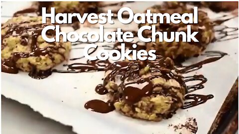 Harvest Oatmeal Chocolate Chunk Cookies - Recipe