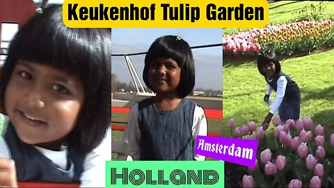 Keukenhof Tulip Garden, Holland