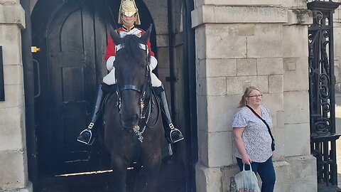 Man on bus shouts out F your horse at kings guard #horseguardsparade