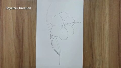 How to draw a hibiscus flower step by step pencil sketch