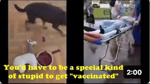 You'd have to be a special kind of stupid to get "vaccinated"