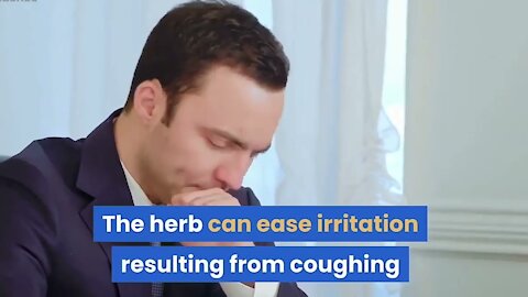 Easy Natural home herbal remedies for cough