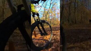 INSTA 360 X3 - Wheel CAM - SUBSCRIBE - #shorts