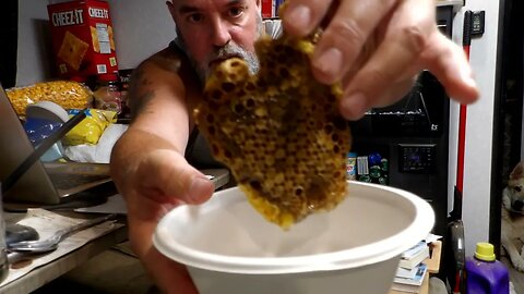 Giving you a update on the bees. Did they swarm??