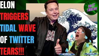 Elon Musk TRIGGERS Largest Wave of TWITTER Tears EVER Recorded