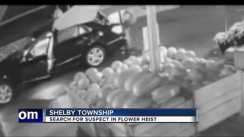 Flower thief hits Shelby Township Vince and Joe's on Mother's Day