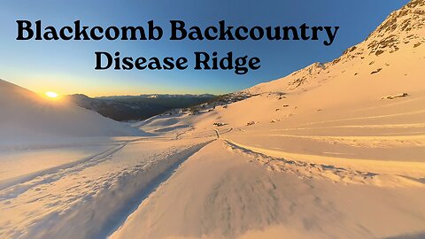 Whistler Blackcomb Backcountry - Disease Ridge