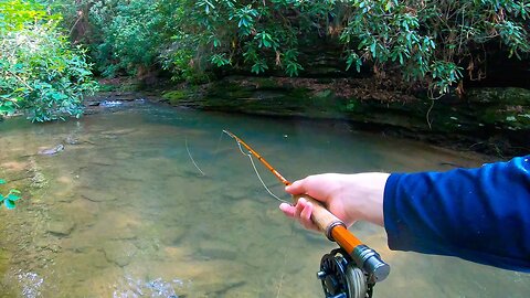 Dry Fly Fishing for Brown Trout! (Creek Fishing)