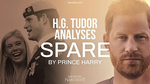 HG Tudor Analyses Spare : Chelsy Wings