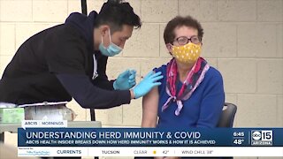 Understanding herd immunity and COVID-19