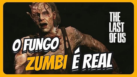 O FUNGO DA SERIE THE LAST OF US É REAL