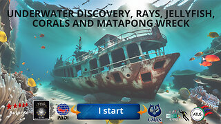 Underwater discovery, Rays, Jellyfish, Corals and Matapong wreck