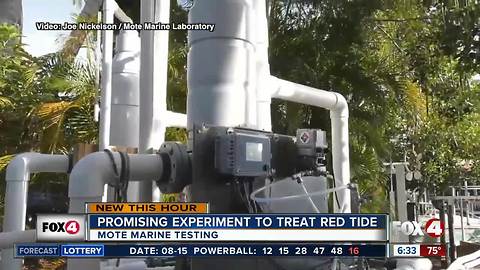 Mote Marine scientists experiment with new tool to fight red tide in canals