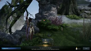 Lost Ark MMORPG Follow the Map