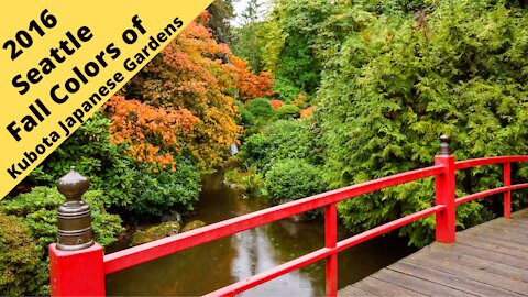 2016 Seattle Fall colors of the Kubota Japanese Gardens