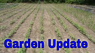 Homestead and Graden Update