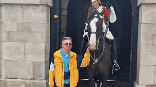 Don't hold the reins #horseguardsparade