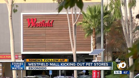 Pet stores to be kicked out of Westfield malls