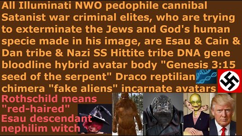 NWO pedophile cannibal Satanists are Esau & Cain & Dan & Nazi SS Hittite DNA Draco reptilian avatars