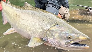 All Things Plug Fishing For Spring Salmon In Small Rivers (Bank & Boat Tactics)