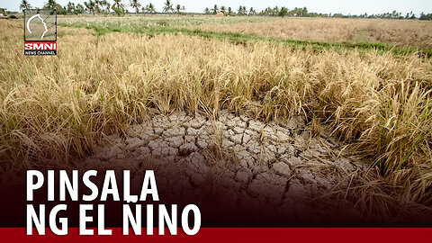Pinsala ng El Niño sa sektor ng agrikultura, pumalo na sa P4.39-B —DA