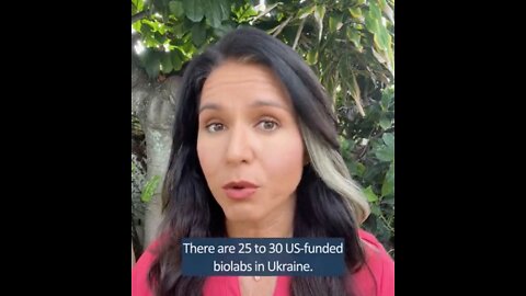 Es gibt 25 bis 30 von den USA finanzierte biologische Laboratorien in der Ukraine.