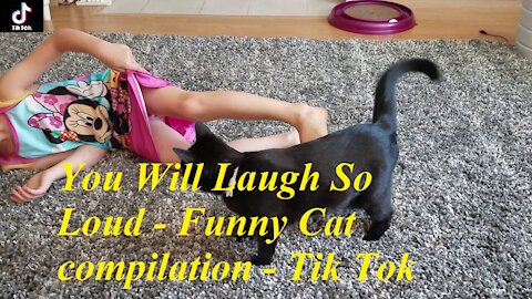 You Will Laugh So Loud - Funny Cat compilation - TikTok #16 抖音