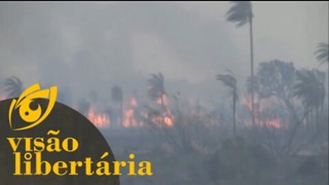 Você lembra que a Amazônia estava pegando fogo? - HD | Visão Libertária - 09/04/20 | ANCAPSU