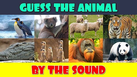 Guess the Animal by the Sound