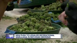 Push to legalize marijuana in Michigan growing