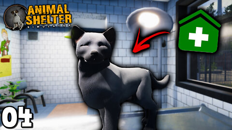 I can Help all the Injured Animals in my Clinic // Shelter Simulator - Part 4