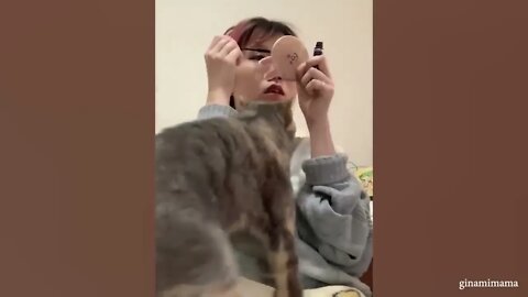CATS Actually Love Their Humans, Here are the Proofs 1