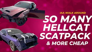 IAA Walk Around, So Many Hellcat, ScatPack, Classic Dodge, Jaguar XJL, Cavalier and More